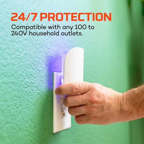 NEBO Flying Insect Trap Starter Kit